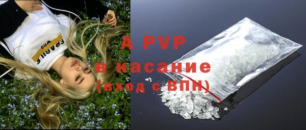 гашик Алексеевка