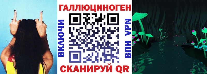 продажа наркотиков Электрогорск Псилоцибиновые грибы GOLDEN TEACHER