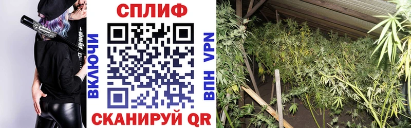 купить цена Электрогорск Марихуана тримм